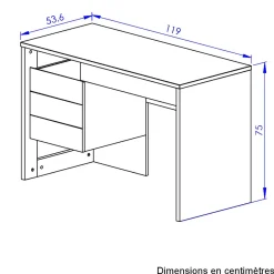 Bureau 1 porte 1 tiroir en bois imitation chêne naturel et noir - BU5057