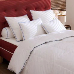 Lot de 2 oreillers moelleux duvet de canard anti-allergènes Someo