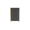 Meuble à chaussures 3 portes en bois anthracite - MC0039