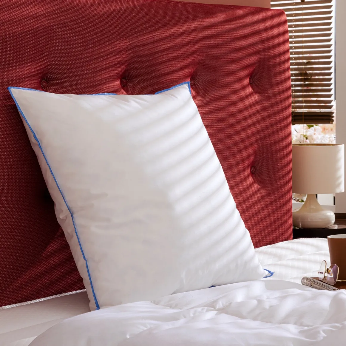 Oreiller moelleux/ferme duvet de canard anti-allergènes Someo