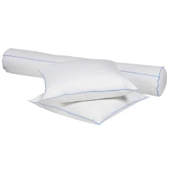Pack oreiller et traversin moelleux duvet de canard anti-allergènes Someo